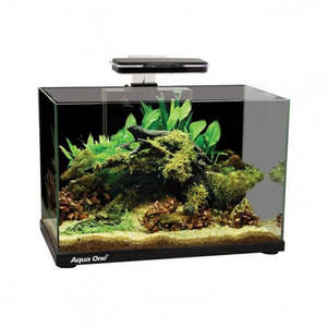 Best Selling: Aqua One Focus 36 Aquarium