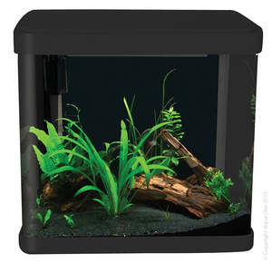 Aqua One LifeStyle 21 Complete Glass Aquarium