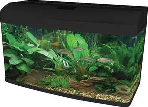 Best Selling: Aqua One AquaStyle AR980 Aquarium