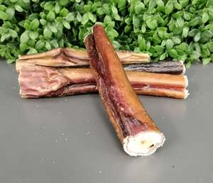 Treats: THICK BULL PIZZLE 15CM