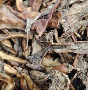 Treats: SMOKE FLAV VENISON SHANK SKIN