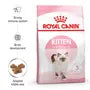 Royal Canin Food: RC KITTEN 400GM