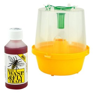 Products: Wasp & Fly Trap