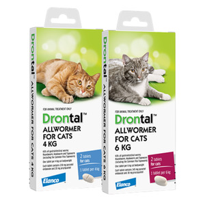 Cat: Drontal Allwormer Tablets for Cats