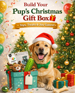 Dog: Pup’s Christmas Gift Box