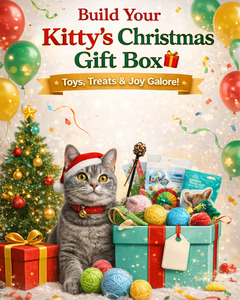 Kitty's Christmas Gift Box