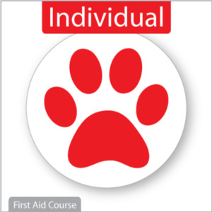 Pet First Aid Courses: Individual Course Booking