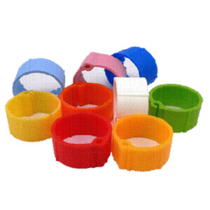 Products: Pheasant Plastic Leg Ring - 12mm