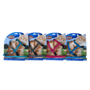 Cat Harness & Lead - Big Cat