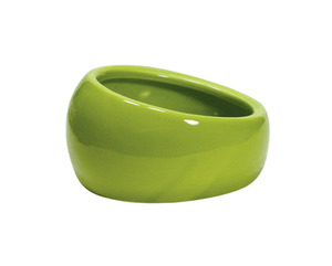 Products: Living World Ergonomic Dish Green