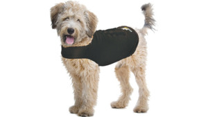 Products: Zendog Compression Shirt Pet Haven