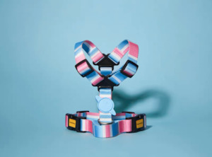 Leads: WonderPaw Harness | Candy