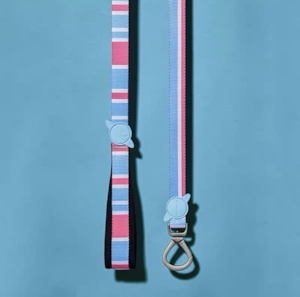 Leads: WonderPaw Leash | Candy