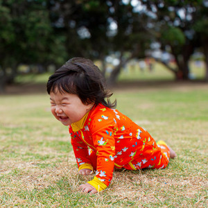 Products: Swimsuit - Gannets at Muriwai Petit Plouf