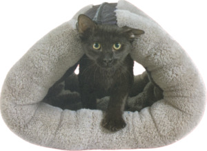 Products: Jackson Galaxy Kitty Zip Mat 90x55cm