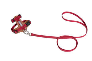 Leather Cat Harness & Leash Set