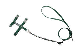 For Cats: Freedom Explorer Cat Harness & Leash Set