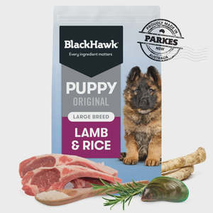 Dry Food: Black Hawk Puppy Large Breed Lamb & Rice 10 kg