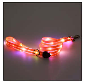 LED Leash