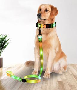 LED Collar