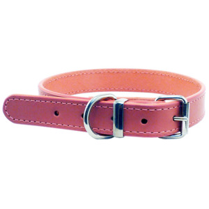 Collars Leads: Leather Stitched Collar