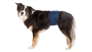 Trixie Belly Band for Male Dogs