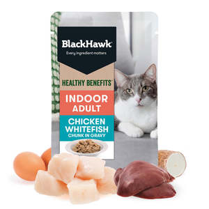Black Hawk: Black Hawk Cat Indoor Chick & Fish in Gravy 85g