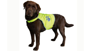 Reflective Safety Vest for Dogs