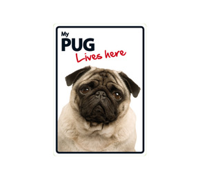 A5 Plastic Sign - Pug Lives Here