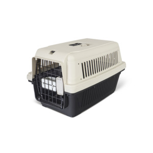 Pet Accessories Promo: Pet Carrier with Cup