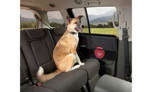 Pet Accessories Promo: Kurgo Car Door Guard