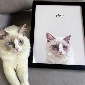 Art And Home: Custom Pet Portrait Art - Contemporary Style