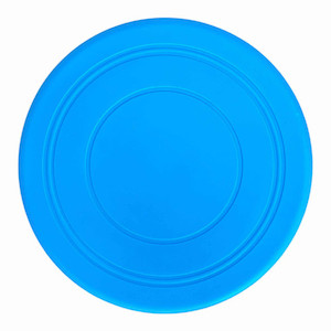 Mini Frisbee Mysite