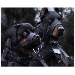 Products: Tactical Dog Muzzle – Adjustable Muzzle for Medium Large Dogs Pet Pop