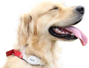 GPS: Petrek GPS - IP55 Water splash proof