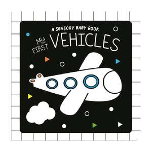 Book Books: My First Vehicles Sensory Book
