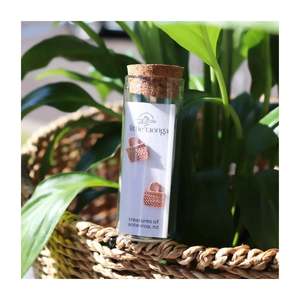 Kete Earrings - Rose Gold