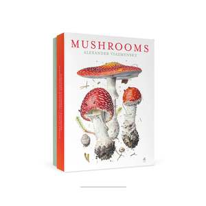 Gift Ideas: Mushrooms Boxed Note Set