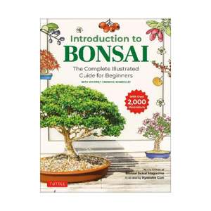 Introduction to Bonsai