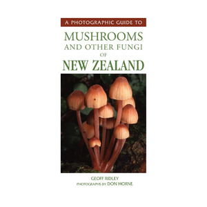 Field Guides: Photographic Guide to Mushrooms