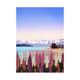 Tekapo A3 Poster