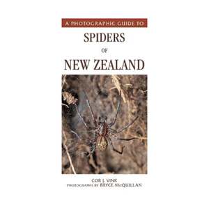 Photographic Guide to Spiders of New Zealand (23)