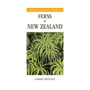 Ferns of New Zealand