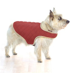 Jackets And Jumpers: Red Quilted Warm Dog Jacket