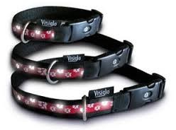 Collars Leads: Visiglo Illuminating Fashion Dog Collar Small