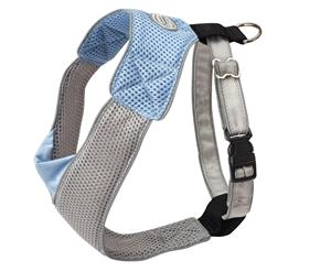 Dog Harnesses: Dog Harness V Mesh in Blue /Grey