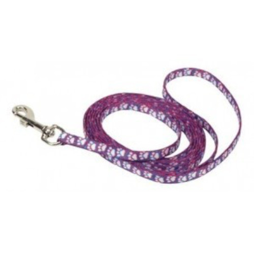 Dog Leads: Lil Pals Blue Paws Dog Leads