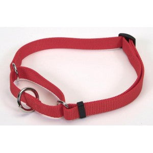 Inventory Out Of Stock: Coastal Martingale No-Slip Dog Training Collar