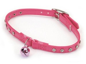 Cat Collars Leads Harness: Purr Power Jewel Cat Collar 30cm