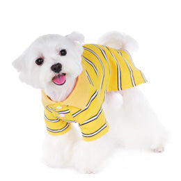 Dog Accessories: Dog Striped Polo Short - Lg